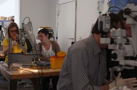 2013.05.24_Netzhaut-Vitrektomie (13).jpg