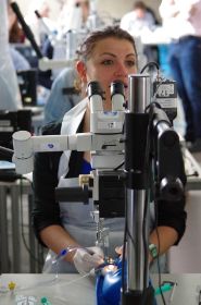 ppV Kurs 2014 Foto  mail. Strassburg@gmx (176).jpg