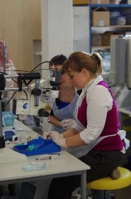 ppV Kurs 2014 Foto  mail. Strassburg@gmx (185).jpg