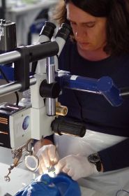 ppV Kurs 2014 Foto  mail. Strassburg@gmx (224).jpg